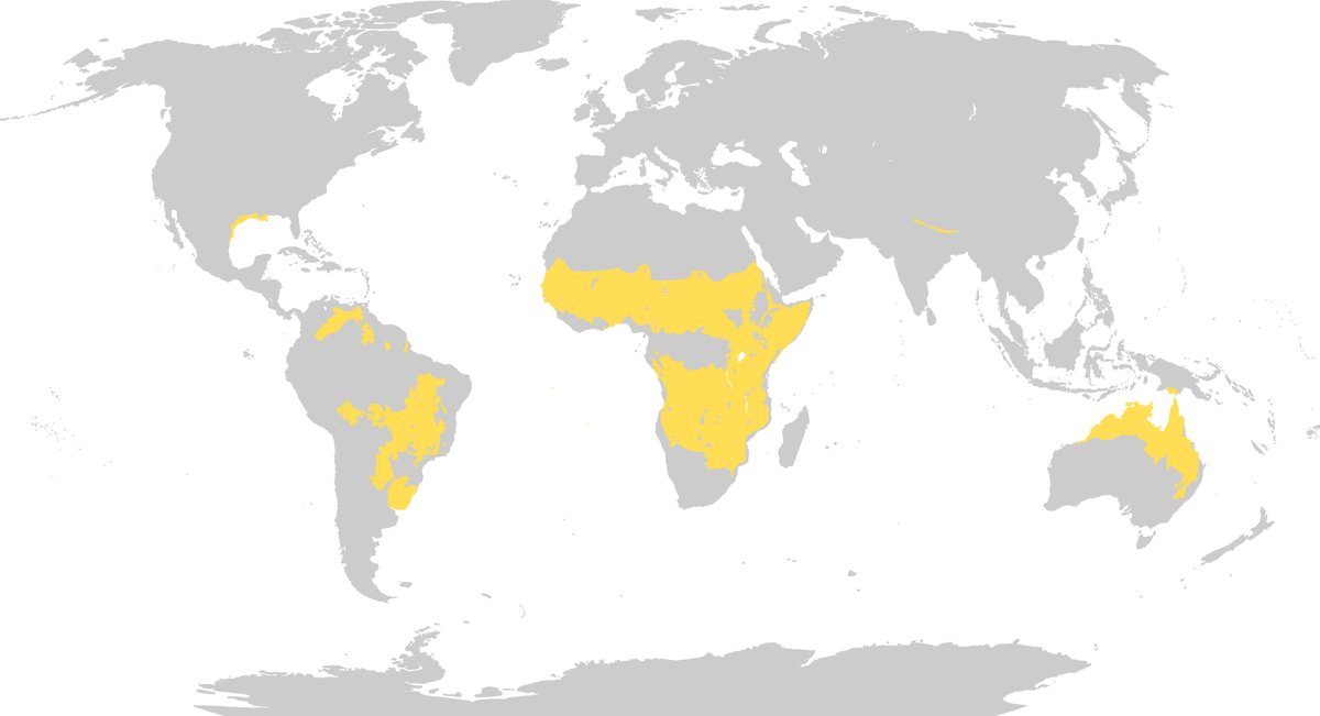 What countries have savannas?