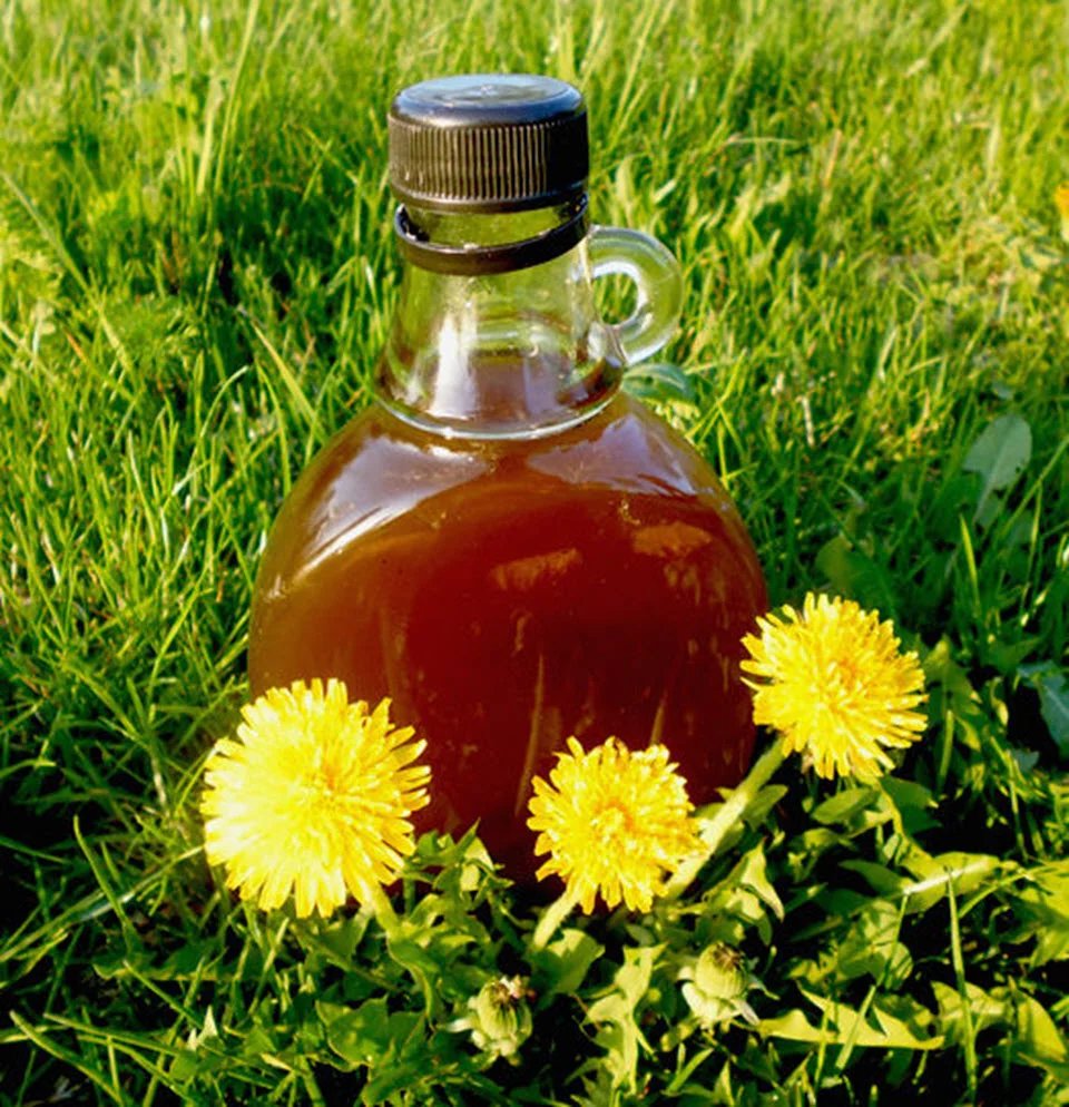 dandelion syrup