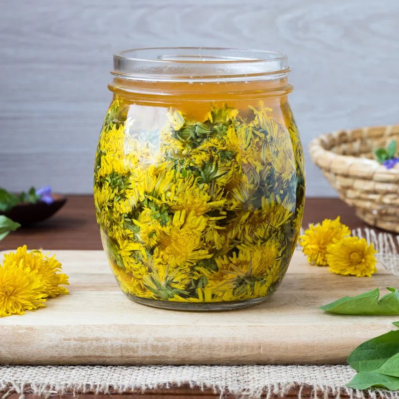 dandelion syrup