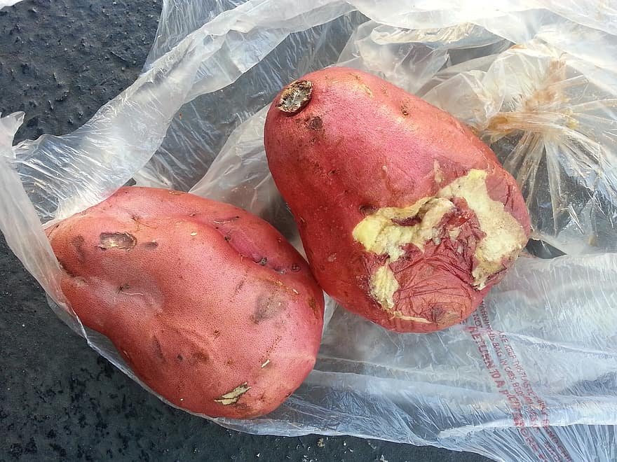 can dogs eat sweet potatoes