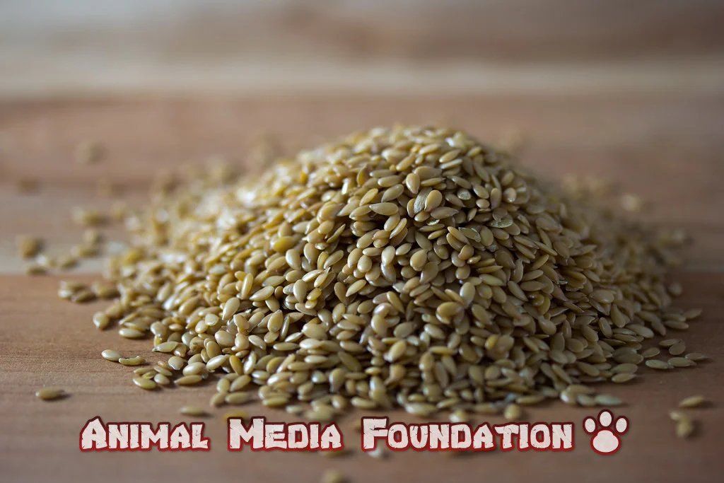 What are the mean seeds?