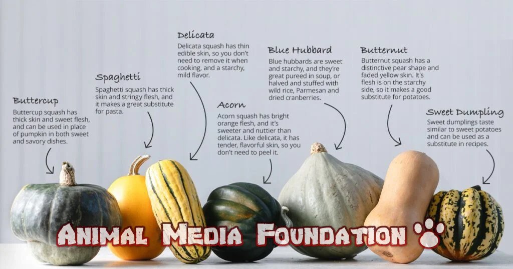Dark Side of Squash
