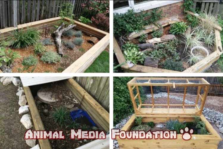 box turtle enclosure outdoor