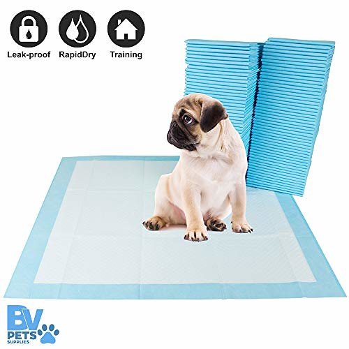 dog training pads