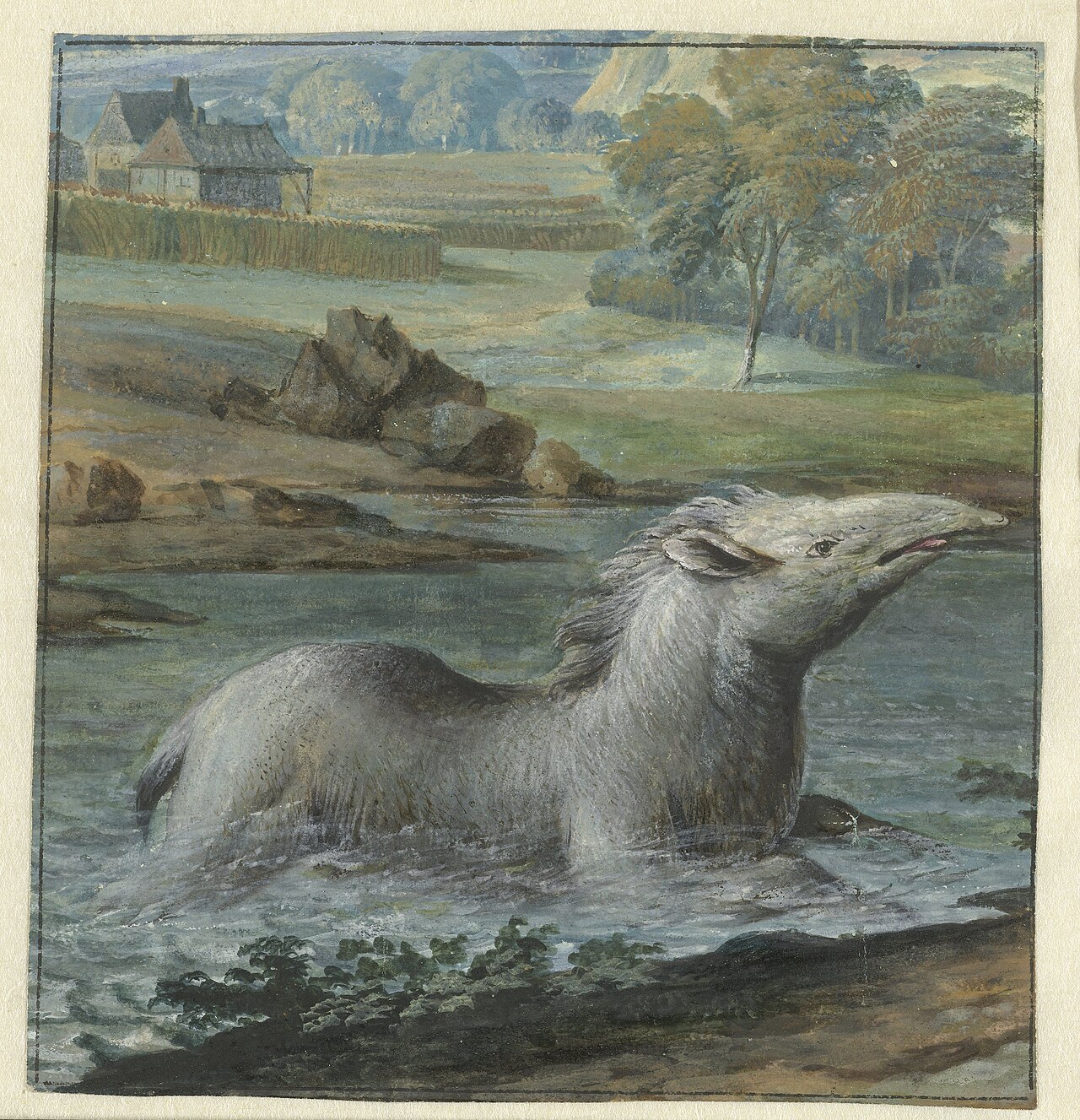 Why Do Tapirs Have a Trunk? The Surprising Truth