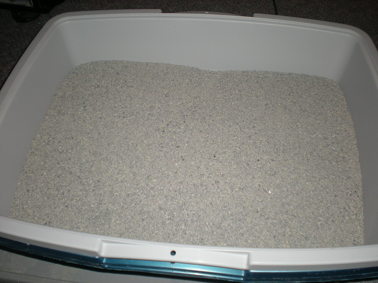 Why Is My Cat Pooping Outside the Litter Box?
